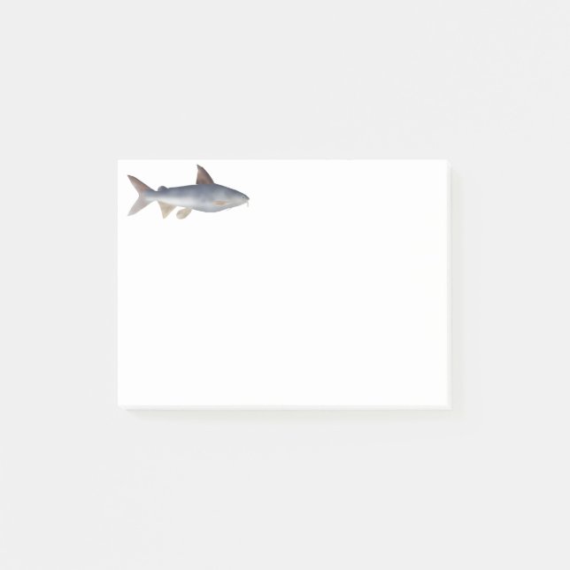 Spotted Catfish Post-it Notes (Front)