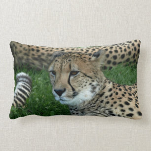Spotted Cheetah Pillow