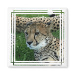 Spotted Cheetah Square Magnet