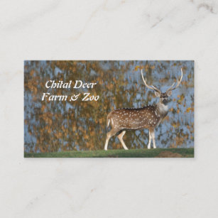Spotted chital deer stag by a lake business card