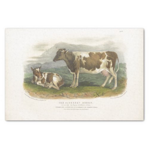 Spotted Cow Calf Ephemera Decoupage Vintage Farm Tissue Paper