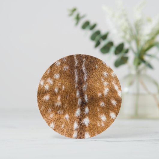 Spotted deer fur texture (Standing Front)