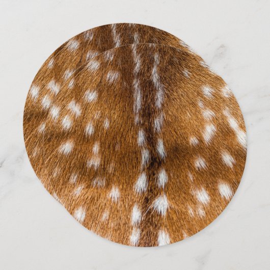 Spotted deer fur texture (Front/Back)