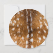 Spotted deer fur texture (Front)