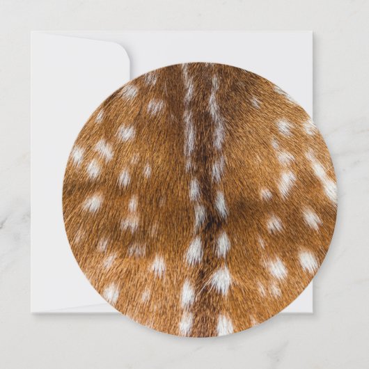 Spotted deer fur texture (Front)
