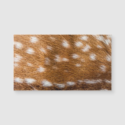 Spotted deer fur texture (Front)