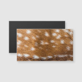 Spotted deer fur texture (Front/Back)