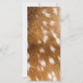 Spotted deer fur texture (Back)