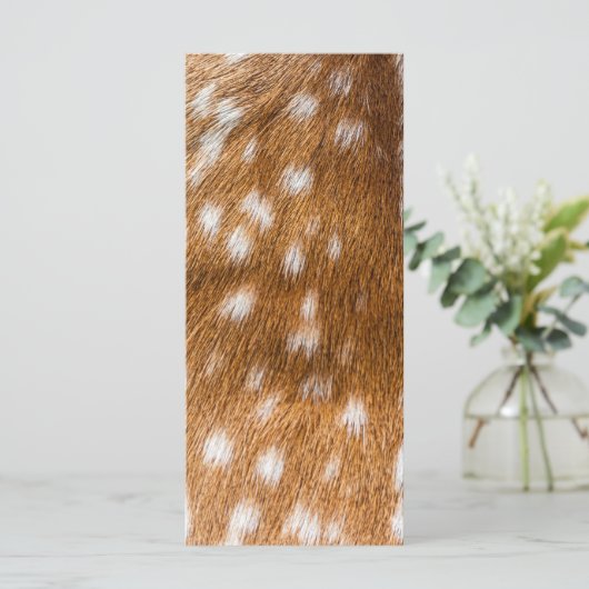 Spotted deer fur texture (Standing Front)