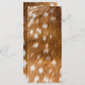 Spotted deer fur texture (Front/Back)