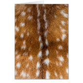 Spotted deer fur texture (Front)