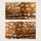 Spotted deer fur texture (Front & Back)