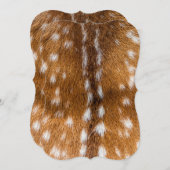 Spotted deer fur texture (Front/Back)