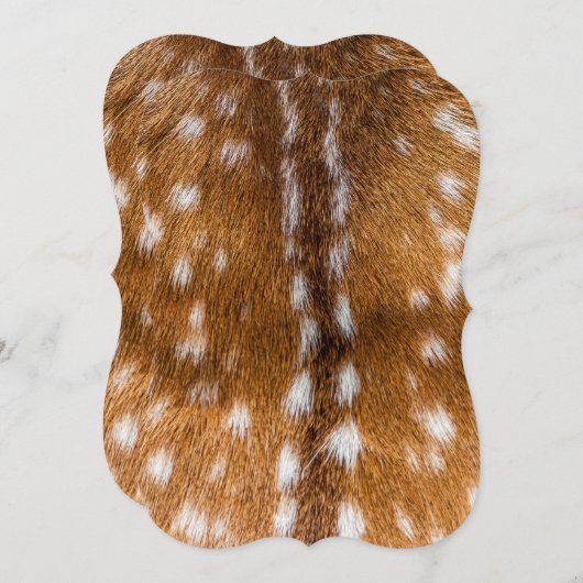Spotted deer fur texture (Front/Back)