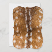 Spotted deer fur texture (Back)