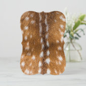 Spotted deer fur texture (Standing Front)