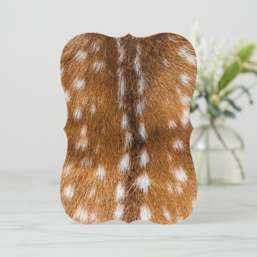 Spotted deer fur texture (Standing Front)