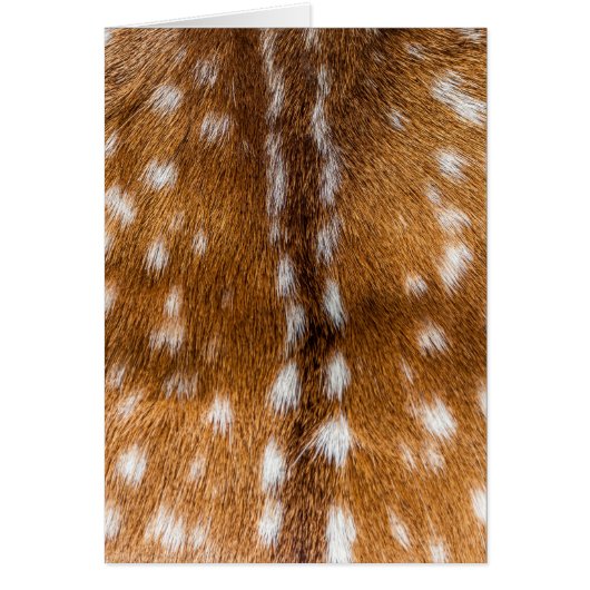Spotted deer fur texture cards (Front)