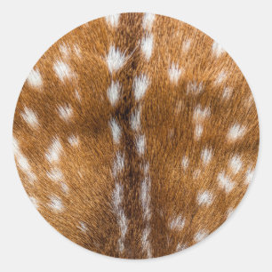Spotted deer fur texture classic round sticker