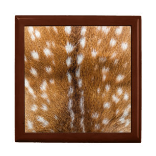 Spotted deer fur texture jewelry box