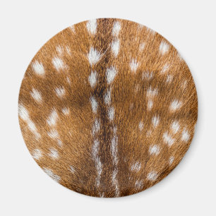 Spotted deer fur texture magnet