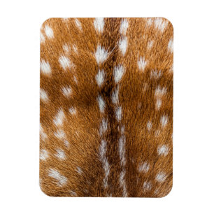 Spotted deer fur texture magnet