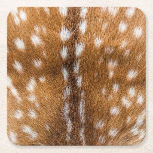 Spotted deer fur texture square paper coaster