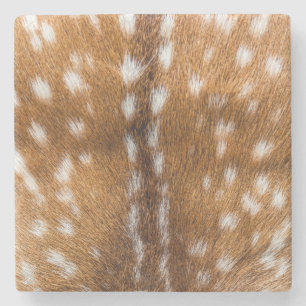 Spotted deer fur texture stone coaster