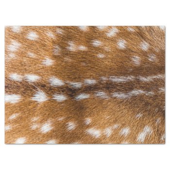 Spotted Deer Fur Texture Tissue Paper by hildurbjorg at Zazzle