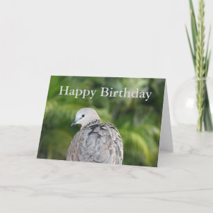 Spotted Dove Birthday Card
