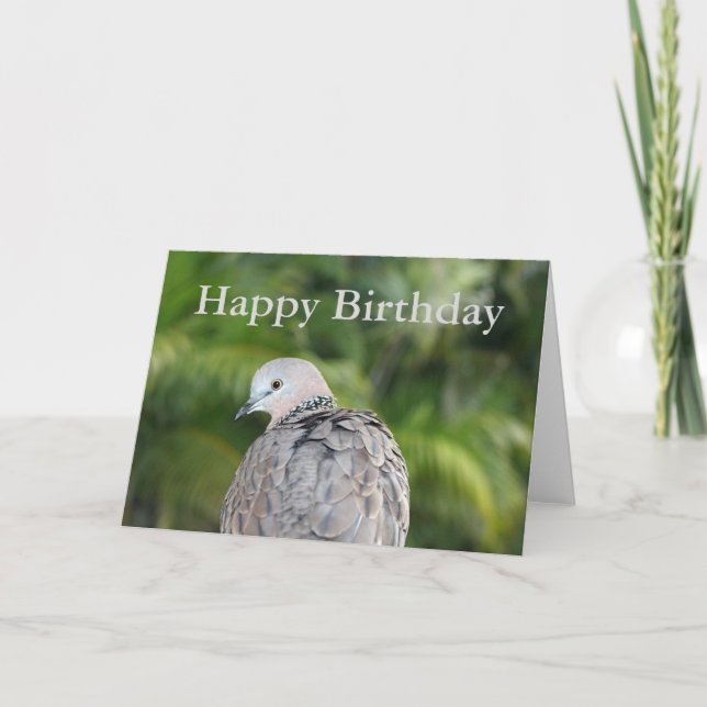 Spotted Dove Birthday Card (Front)