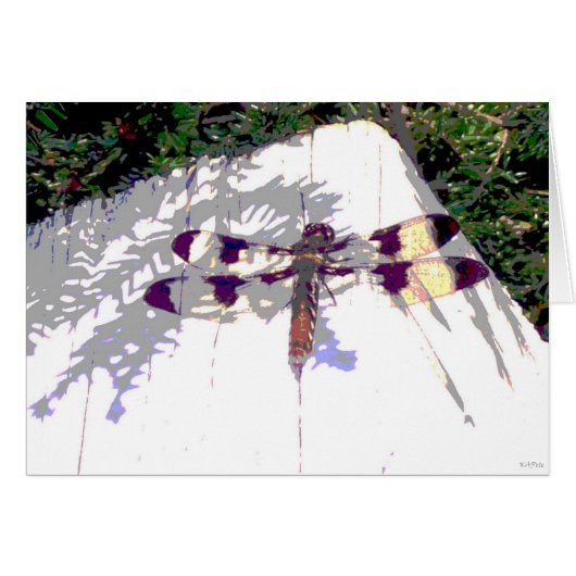 Spotted Dragonfly Cards (Front Horizontal)