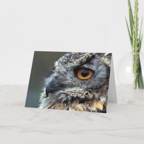 Spotted Eagle Owl _ Blank Greeting Card