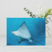Spotted Eagle Ray (Standing Front)