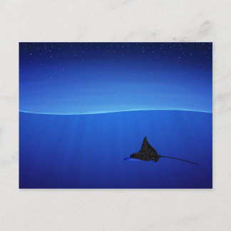 Spotted eagle ray, Aetobatus narinari Postcard