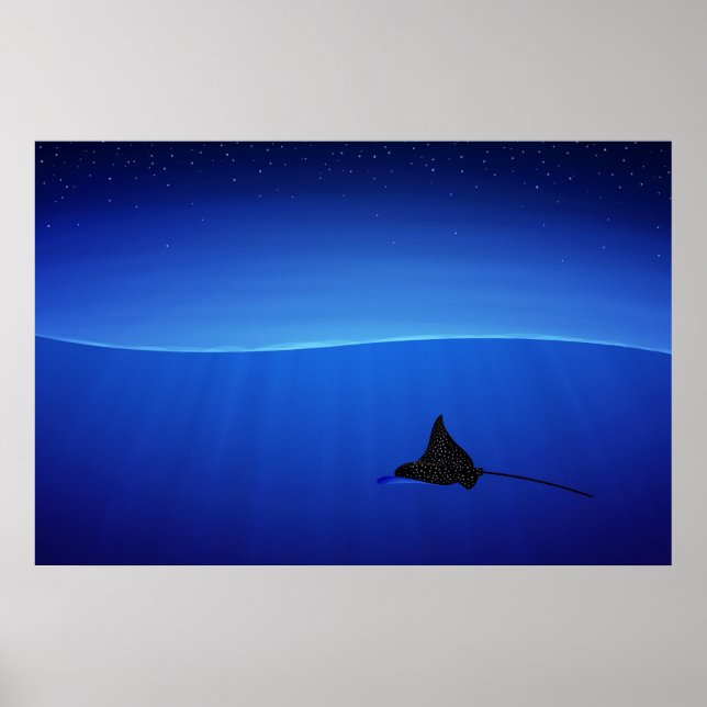 Spotted eagle ray, Aetobatus narinari Poster (Front)