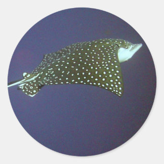 Spotted Eagle Ray Classic Round Sticker
