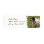 Spotted English Setter Dog Mailing Labels