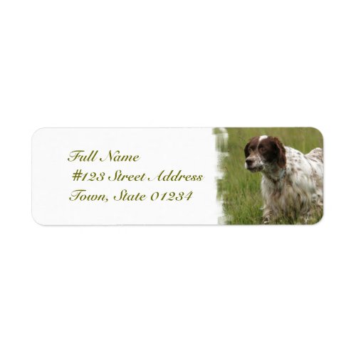 Spotted English Setter Dog Mailing Labels