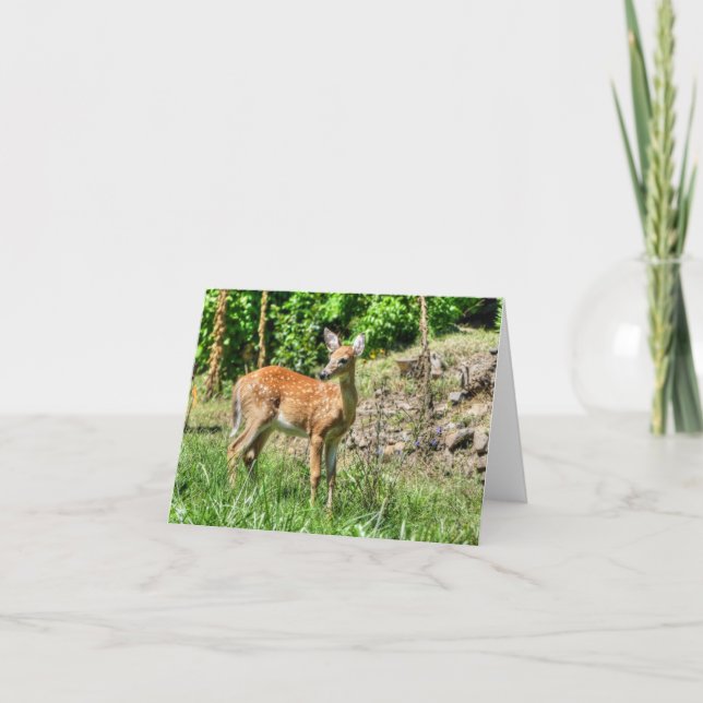 Spotted Fawn Card (Front)