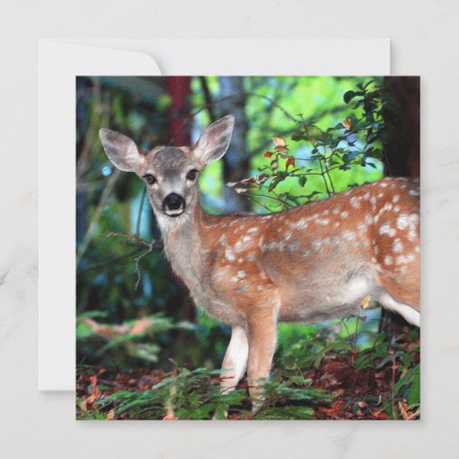 Spotted Fawn Invitation (Front)