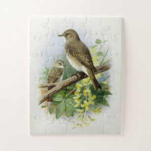 Spotted Flycatchers, Art Illustration Jigsaw Puzzle