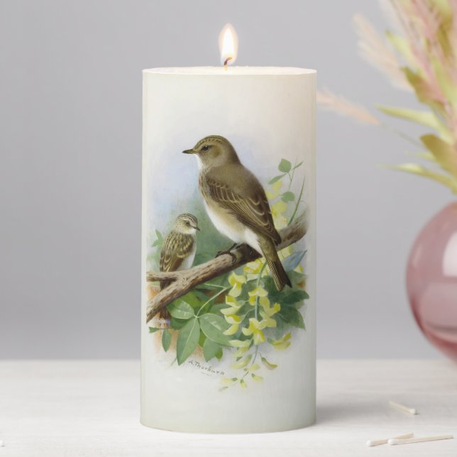 Spotted Flycatchers, Art Illustration Pillar Candle (In Situ)