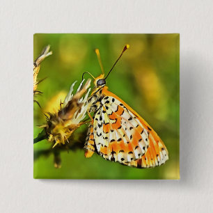 Spotted Fritillary Orange and White Butterfly Button