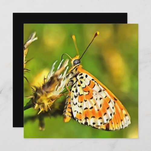Spotted Fritillary Orange and White Butterfly  Invitation