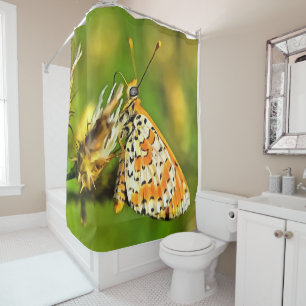 Spotted Fritillary Orange and White Butterfly  Shower Curtain