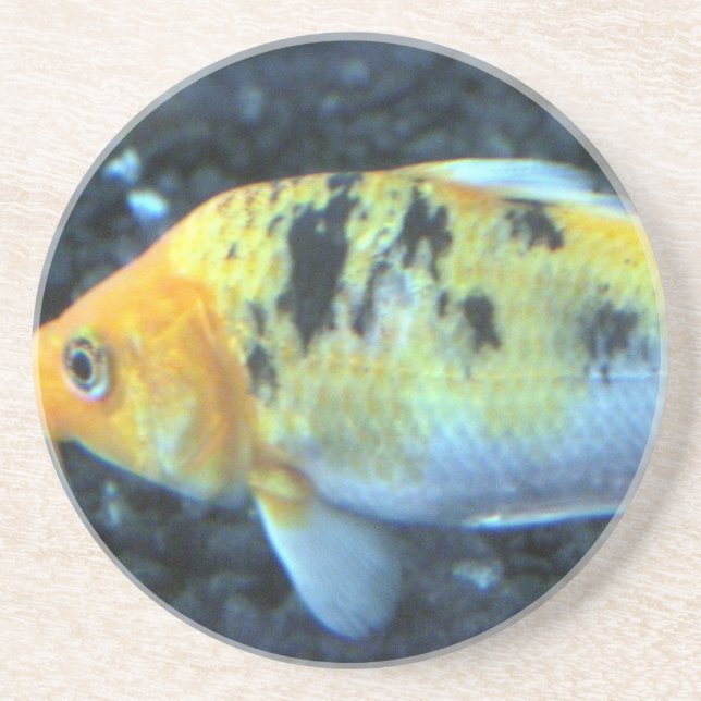 Spotted Goldfish Sandstone Coaster (Front)