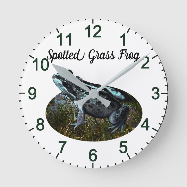 Spotted Grass Frog, Wall Clock