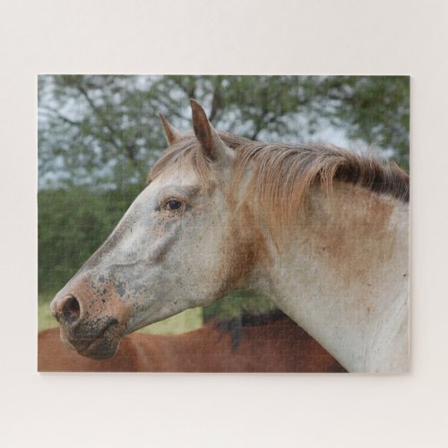 Spotted Horse Jigsaw Puzzle