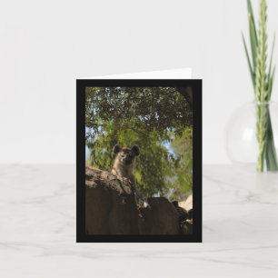 Spotted Hyena Nature Lovers Valencia Vertical Stic Card